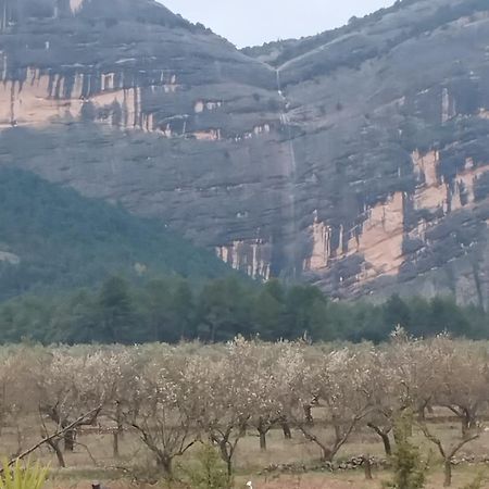 Mas De Manresa Daire Horta de Sant Joan Dış mekan fotoğraf