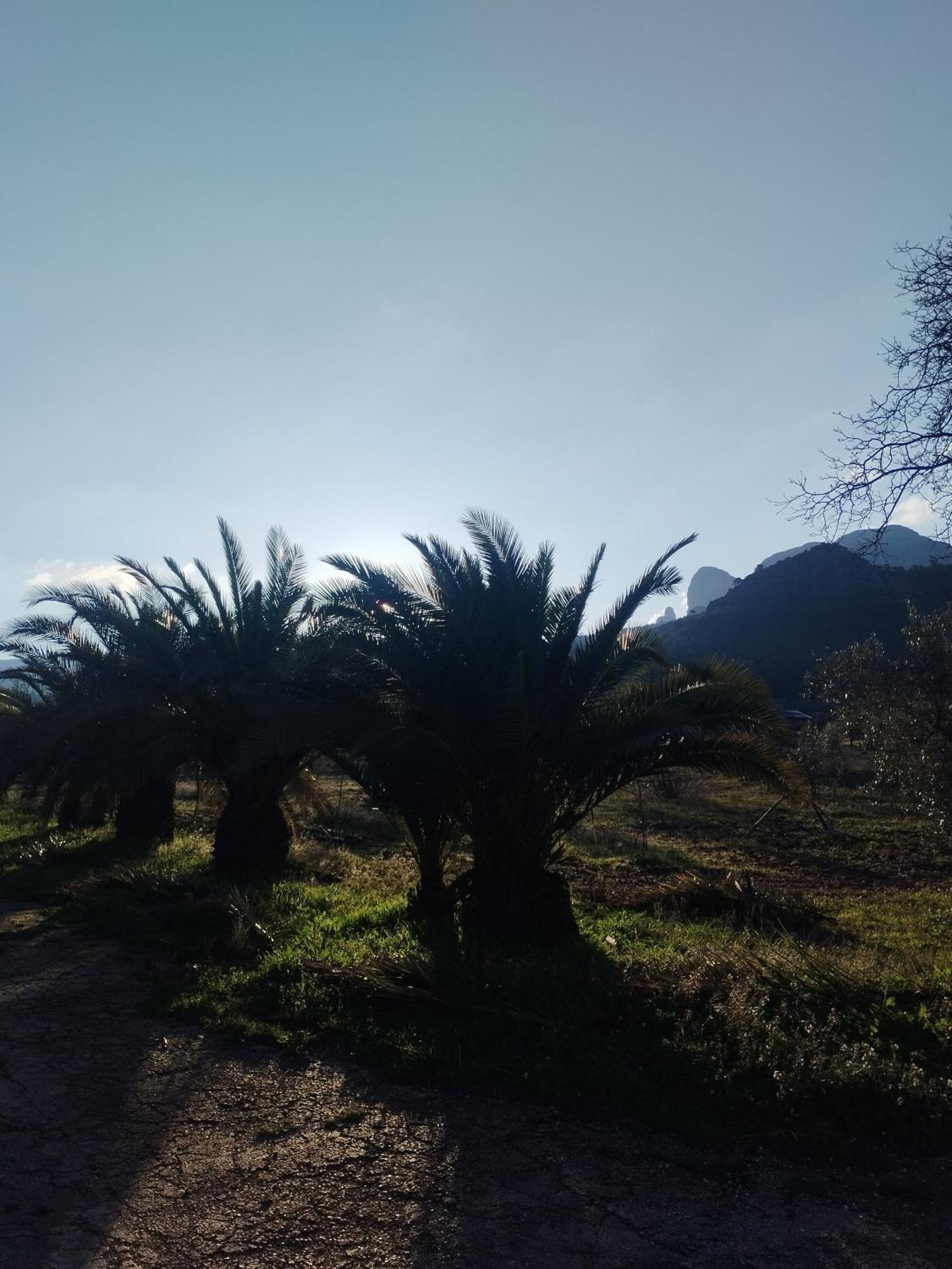 Mas De Manresa Daire Horta de Sant Joan Dış mekan fotoğraf
