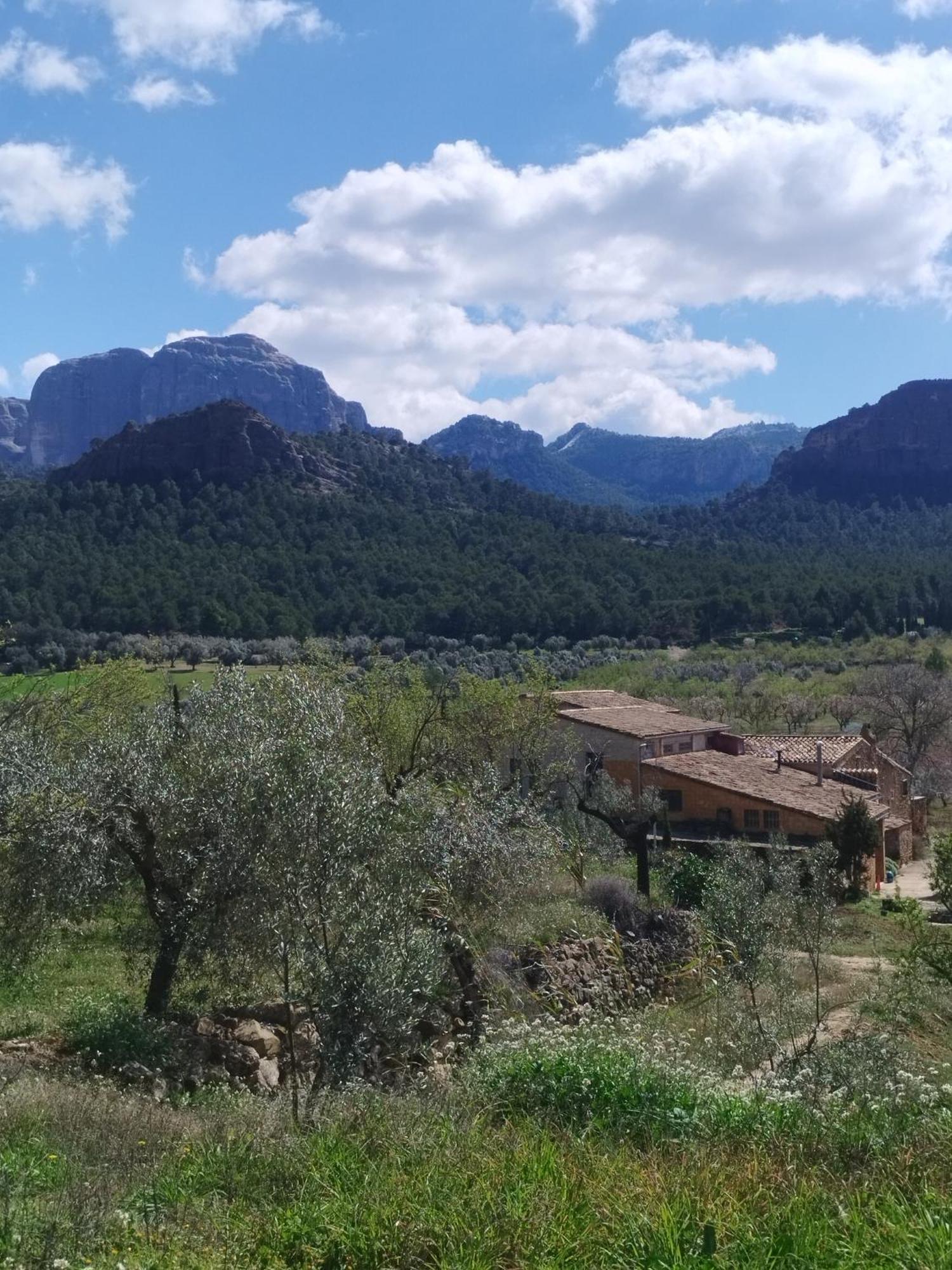 Mas De Manresa Daire Horta de Sant Joan Dış mekan fotoğraf