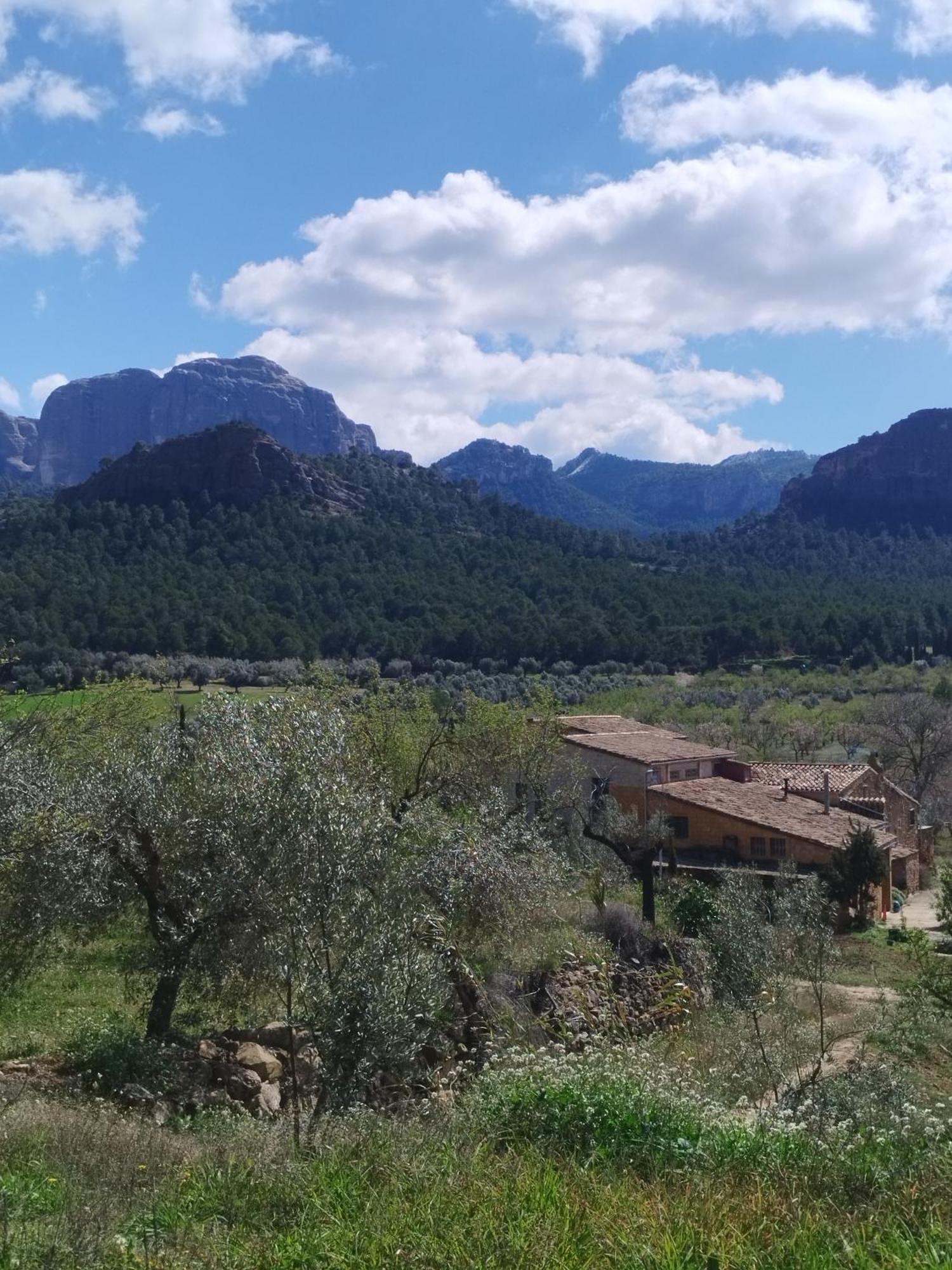Mas De Manresa Daire Horta de Sant Joan Dış mekan fotoğraf